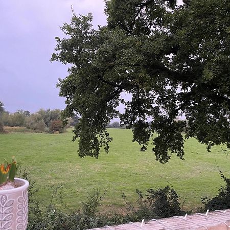 Severnside Boat And Caravan Park Gloucestershire - Caravan 1 Deerhurst 외부 사진